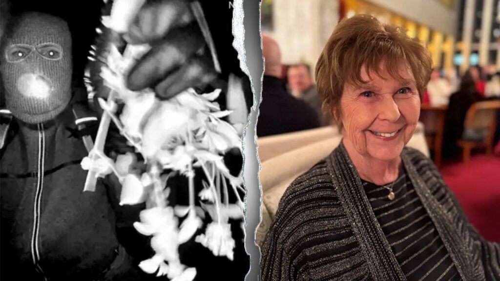 Nancy Guthrie update: DNA couldn’t be profiled from crime scene hair sample, sheriff says Nancy Guthrie update: DNA couldn’t be profiled from crime scene hair sample, sheriff says