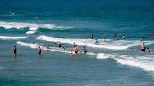Shark Week advisory as warming seas push blacktips farther north along East Coast Shark Week advisory as warming seas push blacktips farther north along East Coast