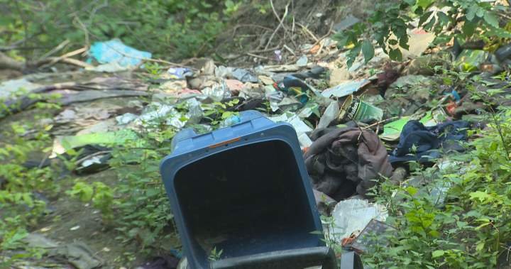 City orders Winnipeg property manager to clean up encampment debris City orders Winnipeg property manager to clean up encampment debris