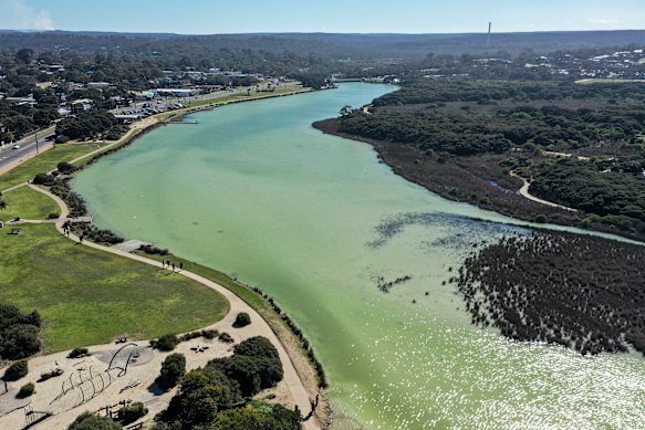 The Anglesea River last year. 