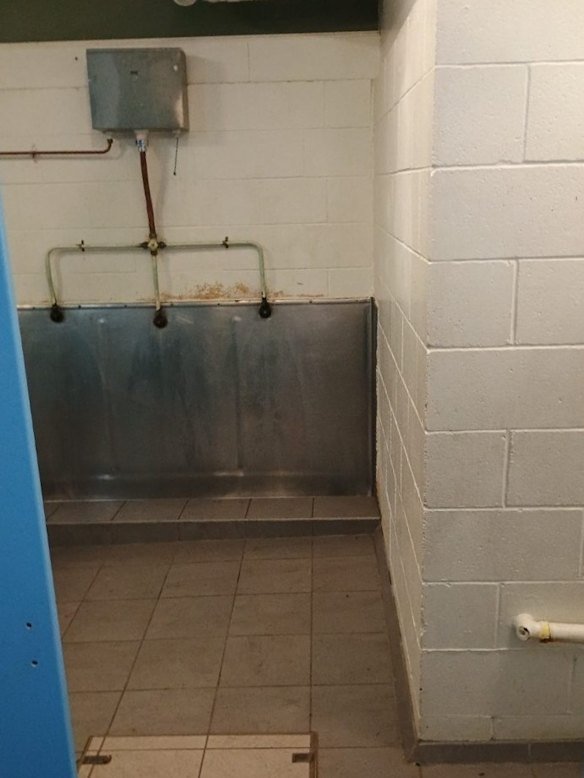 Graceville State School mum Nell McNaughton said pull-string flush mechanisms in the urinals had snapped, leaving urine to accumulate in the drains. 
