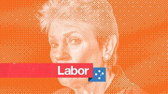 Hanson PM illo