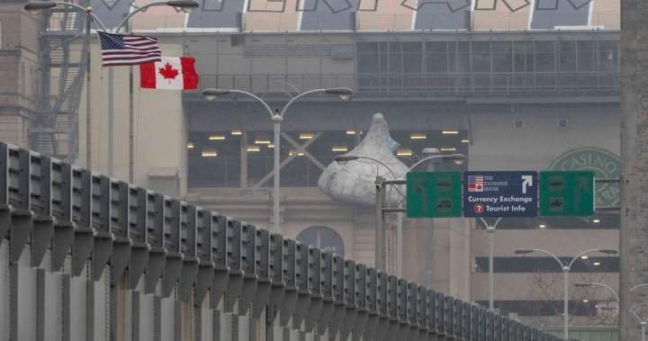 Drug seizures at Canada-U.S. border dropping, Congress hears Drug seizures at Canada-U.S. border dropping, Congress hears