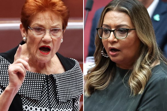 One Nation leader Pauline Hanson and Greens deputy Mehreen Faruqi.