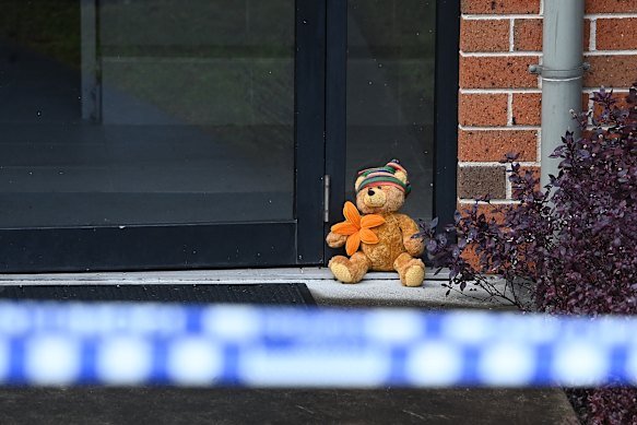 This week the Herald covered the distressing case of a four-year-old boy who was allegedly murdered by his mother in horrific circumstances on the Central Coast.
