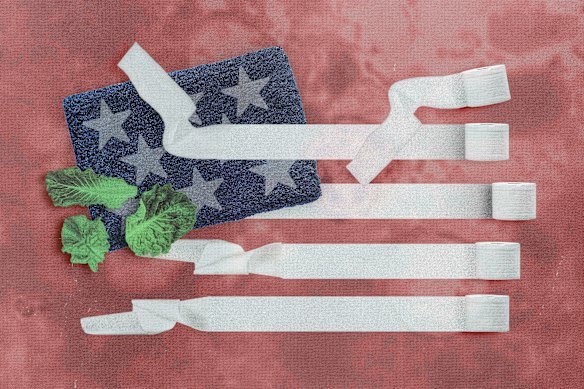 The Cyclospora parasite has inflicted loud and explosive diarrhoea across the US, possibly through lettuce.
