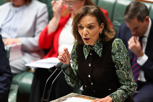 Multicultural Affairs Minister Anne Aly condemned Hanson’s comments.