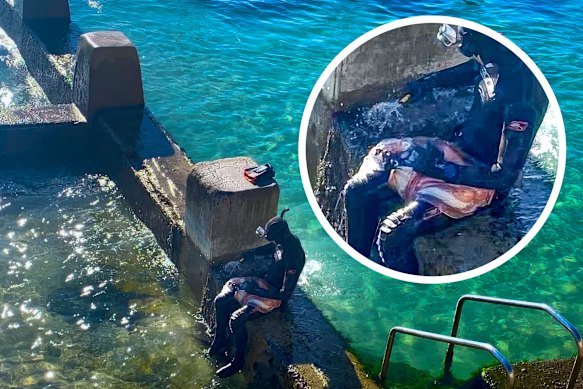 The spearfisher with the dead cuttlefish on Thursday morning.