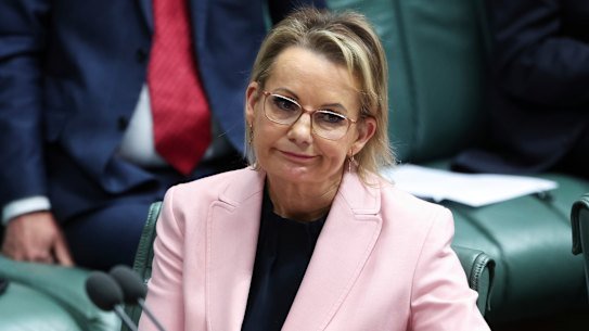 Opposition leader Sussan Ley has hammered the government all week over its home care package delay.