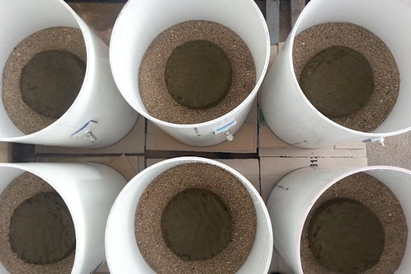 Cow dung was arranged into cylinders and analysed for emissions.