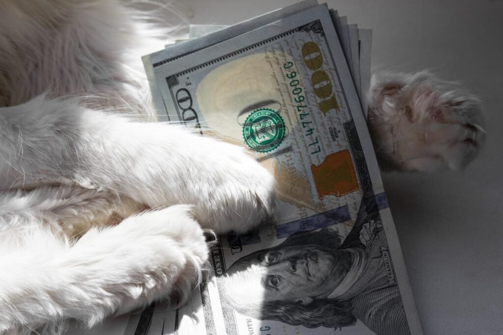 The real cost of being a pet parent in 2026: What you need to know