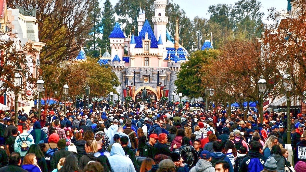 Aerial view of crowded Disneyland center