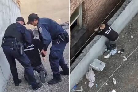 Reno man charged in gruesome kitten killing after San Francisco rooftop arrest Reno man charged in gruesome kitten killing after San Francisco rooftop arrest