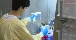University of Calgary developing new immunotherapy cancer treatment University of Calgary developing new immunotherapy cancer treatment
