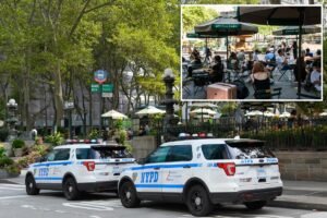 NYC homeless man hurls cell phone at baby in stroller during Bryant Park horror attack: cops NYC homeless man hurls cell phone at baby in stroller during Bryant Park horror attack: cops
