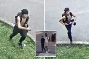Second heartless crook wanted for robbing Boston children’s lemonade stand pictured by cops Second heartless crook wanted for robbing Boston children’s lemonade stand pictured by cops