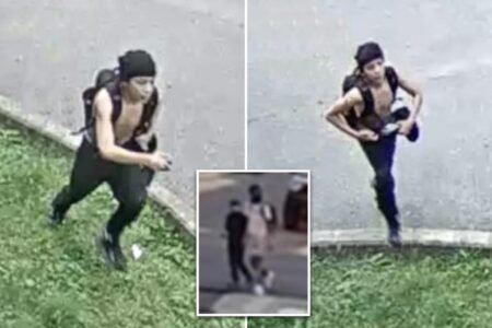Second heartless crook wanted for robbing Boston children’s lemonade stand pictured by cops
