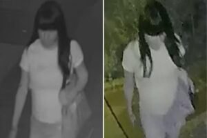 Police searching for creep who raped boy, 15, in back of NYC home Police searching for creep who raped boy, 15, in back of NYC home