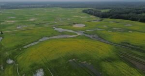 Thorhild, Westlock counties declare state of agricultural disasters due to rain Thorhild, Westlock counties declare state of agricultural disasters due to rain