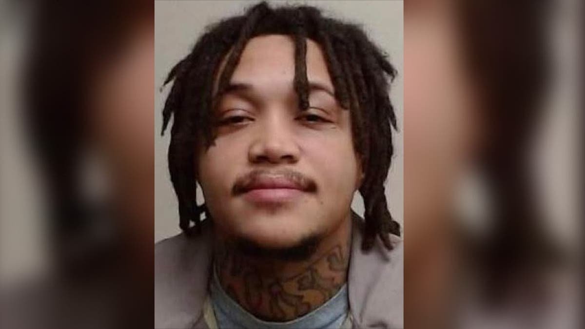 image shows mugshot for suspect