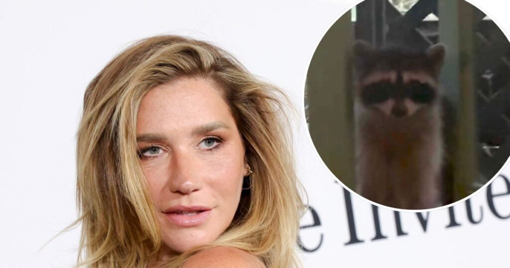 Kesha Loses Fight to Big Feral Raccoon Intruder Refusing to Leave Her Home: ‘Move In’ Kesha Loses Fight to Big Feral Raccoon Intruder Refusing to Leave Her Home: ‘Move In’