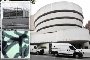 Mamdani insists NYC Legionnaires’ outbreak is under control as death toll climbs to 5, with 82 infected