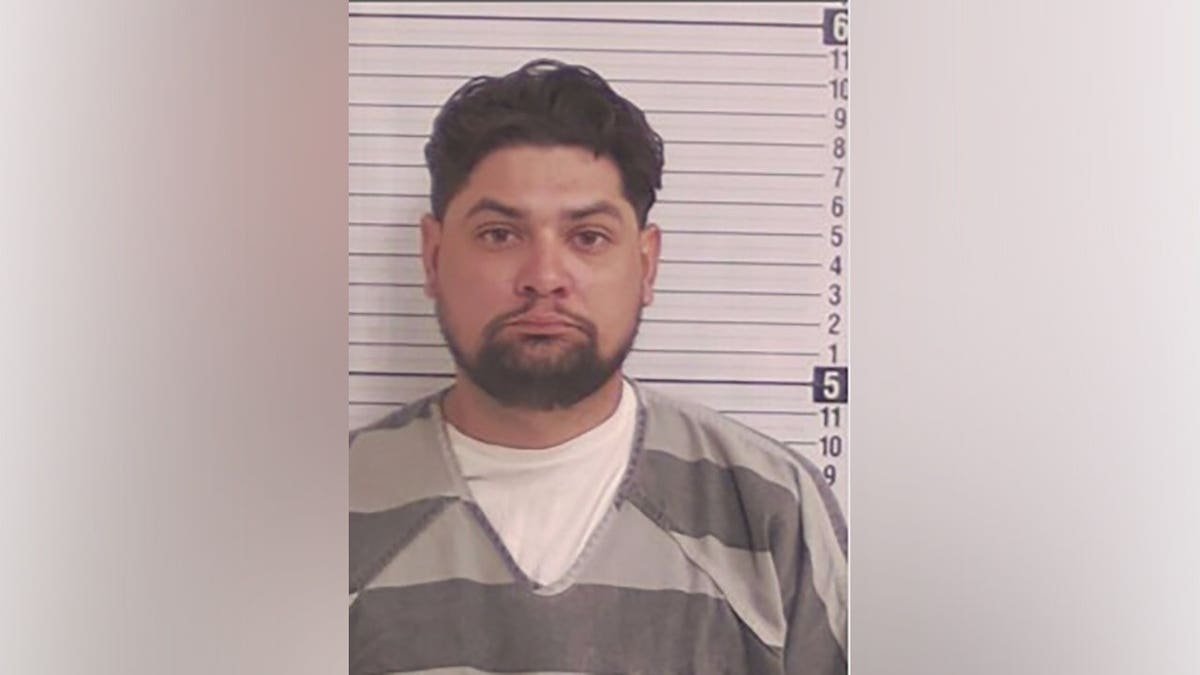 Florida illegal immigrant Luis Sanabria arrested after Deborah Murphy's death outside Publix