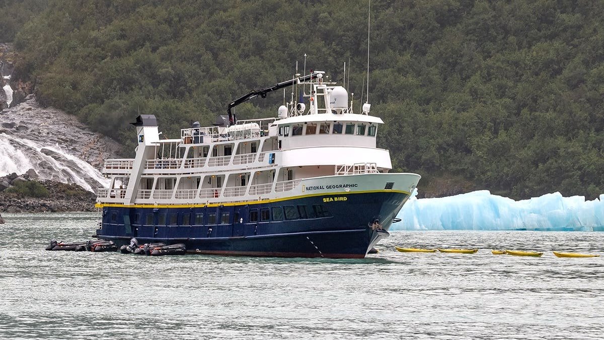 National Geographic Sea Bird on the water