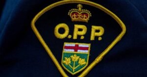‘Infuriating’: Cat dies after being thrown from moving vehicle, OPP say