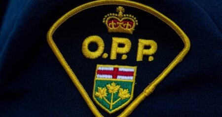 ‘Infuriating’: Cat dies after being thrown from moving vehicle, OPP say