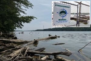 5 dead after two sets of parents rush into Ohio River to rescue struggling swimmer and all drown 5 dead after two sets of parents rush into Ohio River to rescue struggling swimmer and all drown