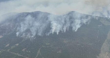 ‘I’m not leaving’: Some B.C. residents vow to defend homes from wildfires