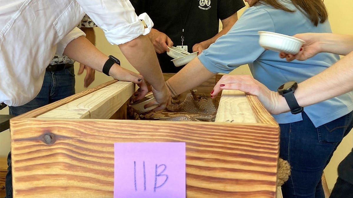 View of researchers handling Pumphrey's remains
