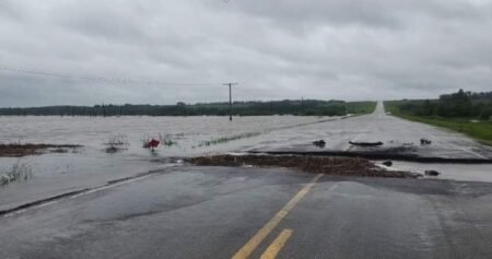 13 Sask. communities in states of emergency after storms drop 275 mm of rain over 10 days