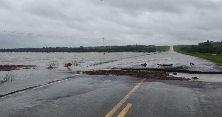 13 Sask. communities in states of emergency after storms drop 275 mm of rain over 10 days 13 Sask. communities in states of emergency after storms drop 275 mm of rain over 10 days