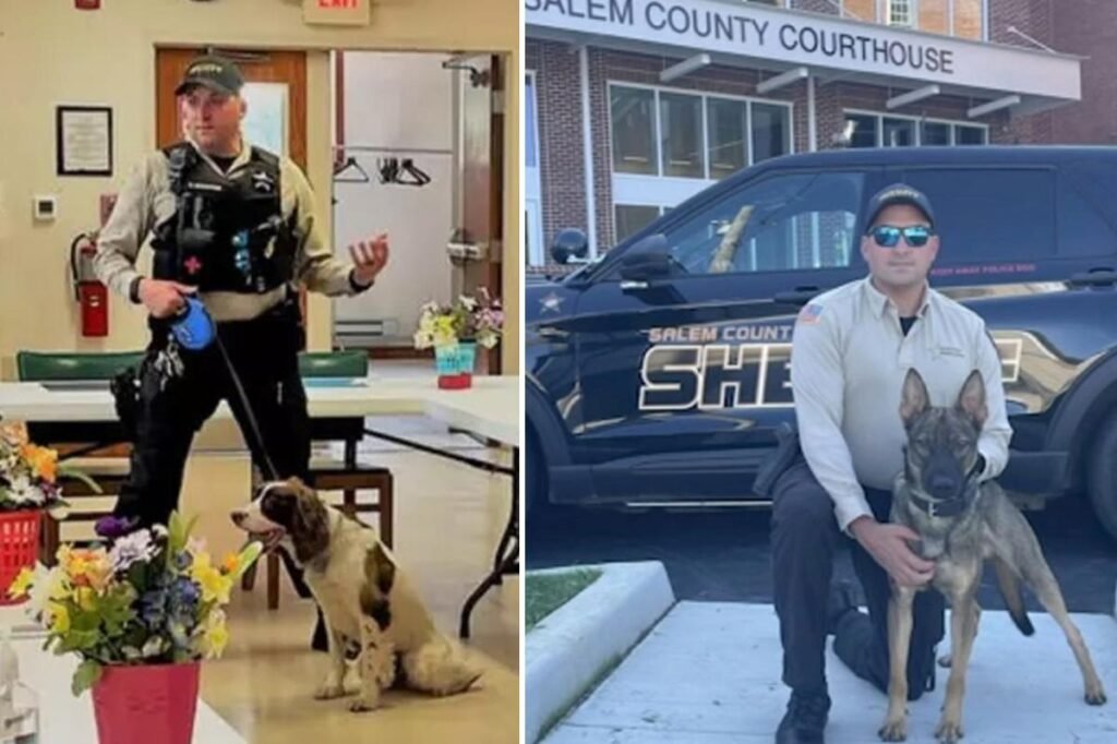 NJ cop in charge of K-9 unit charged after leaving two police dogs to die in hot car for 7 hours: report NJ cop in charge of K-9 unit charged after leaving two police dogs to die in hot car for 7 hours: report