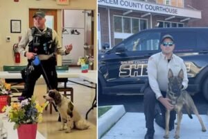 NJ cop in charge of K-9 unit charged after leaving two police dogs to die in hot car for 7 hours: report NJ cop in charge of K-9 unit charged after leaving two police dogs to die in hot car for 7 hours: report