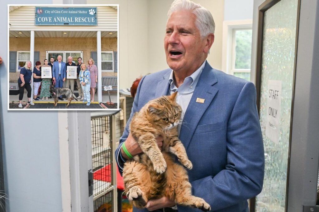 Bruce Blakeman calls for greater animal protections after 155 neglected cats, dogs rescued from LI hoarder’s house of horrors Bruce Blakeman calls for greater animal protections after 155 neglected cats, dogs rescued from LI hoarder’s house of horrors