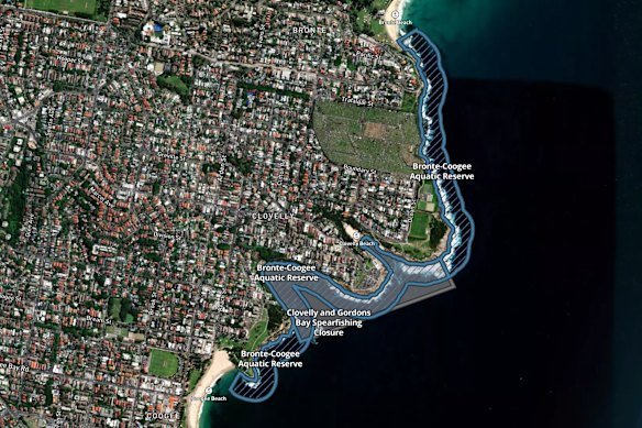 The Bronte-Coogee Aquatic Reserve extends only as far as north Coogee. The Ross Jones Memorial pool is at the southern end of the beach.