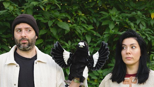 Burak and Naz Kaya created the Magpie Radar app, alerting pedestrians to swooping magpies. If attacks have happened on their route, the app can recalculate a safer one.
