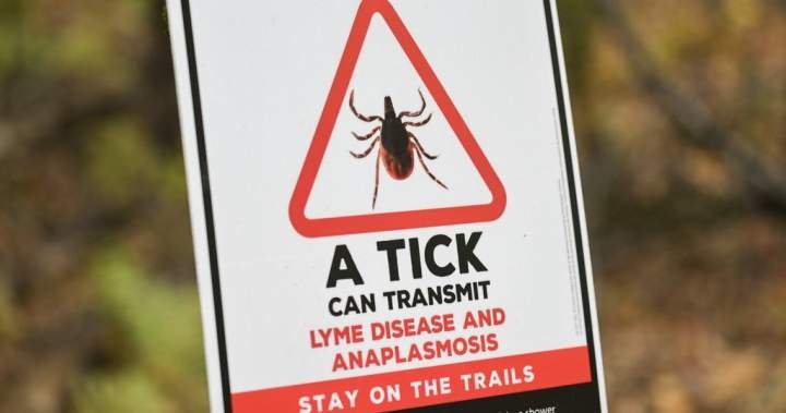 Ticks are spreading anaplasmosis, not just Lyme disease, CMAJ warns Ticks are spreading anaplasmosis, not just Lyme disease, CMAJ warns