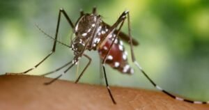 Toronto reports first human case of West Nile virus this year Toronto reports first human case of West Nile virus this year