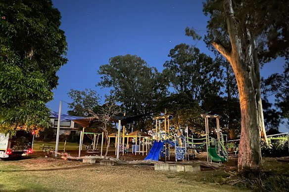 The large branch, which extends the full length of the playground, which struck the woman and boy.