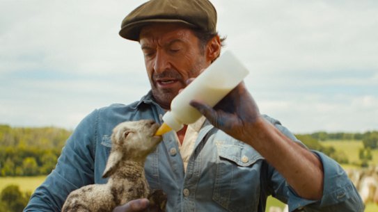 Hugh Jackman as George Hardy in The Sheep Detectives.