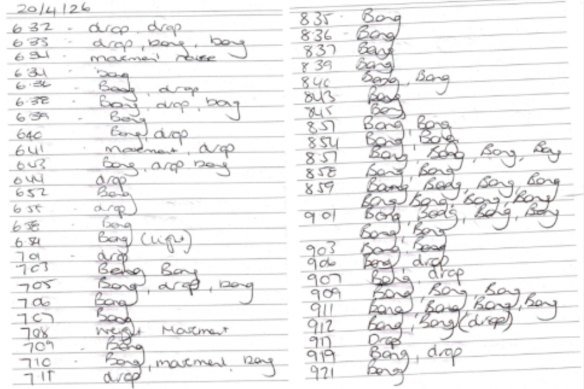 An extract of one of the diary entries recorded by a staff member at the hospital.