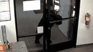 Black bear caught on video wandering into California water district office after pushing open front door Black bear caught on video wandering into California water district office after pushing open front door
