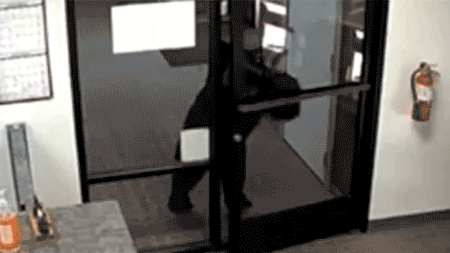 Black bear caught on video wandering into California water district office after pushing open front door Black bear caught on video wandering into California water district office after pushing open front door