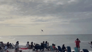 Navy says no reprimands or firings after Blue Angels’ low pass over beachgoers Navy says no reprimands or firings after Blue Angels’ low pass over beachgoers