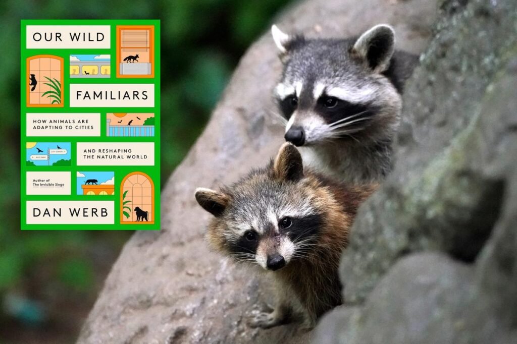 You’re not supposed to be here! How wild animals are adapting to our cities You’re not supposed to be here! How wild animals are adapting to our cities