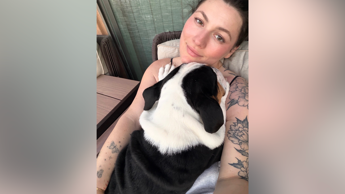 Woman holding Bruce, a black, white and brown English bulldog, in an outdoor chair
